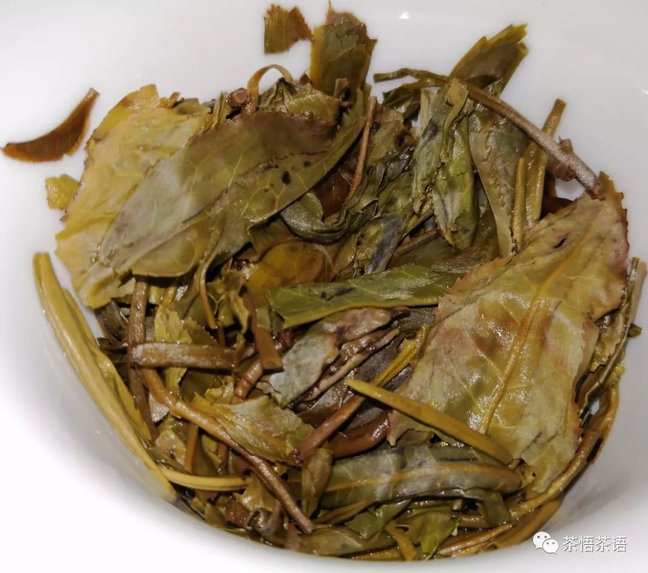 1032023038-14