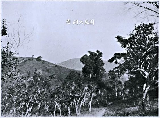 1413552c2-3