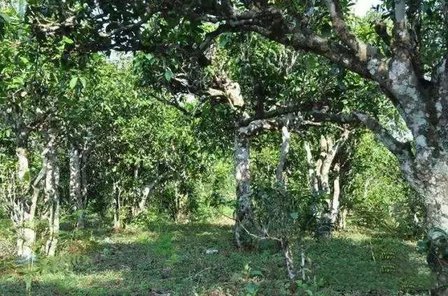 1RI634O-0