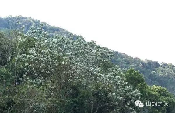 2150334C0-2