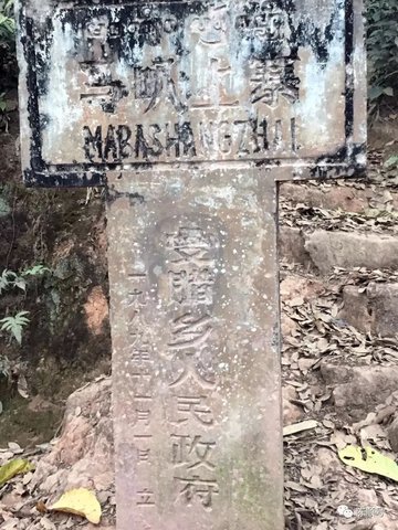1029541604-0