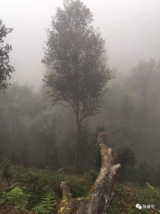 1029544925-7