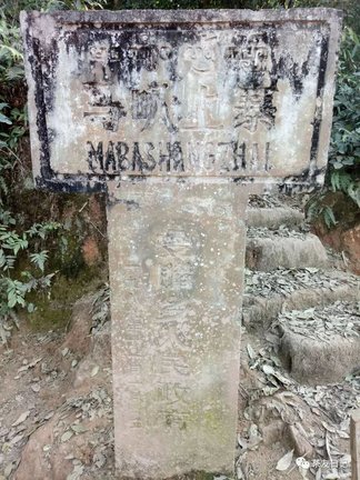 102F52027-7