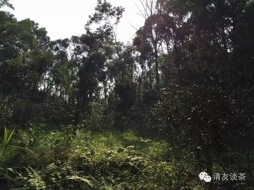 1434016004-3