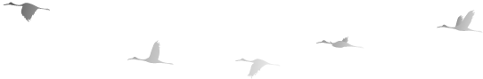 1P34B327-1
