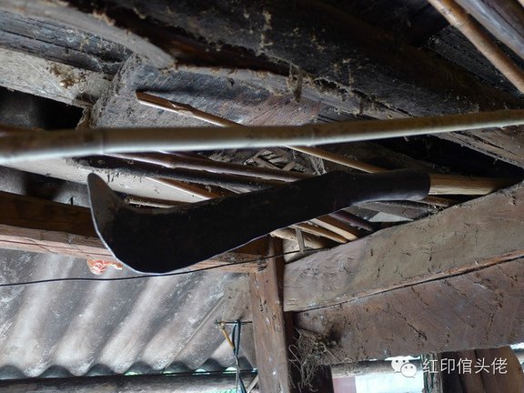 1009205a5-5