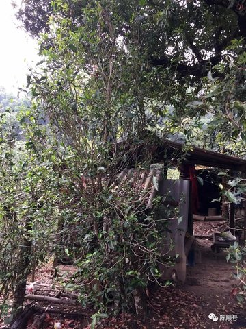 094614N40-13