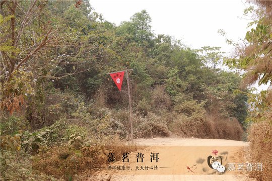 210R5C11-0