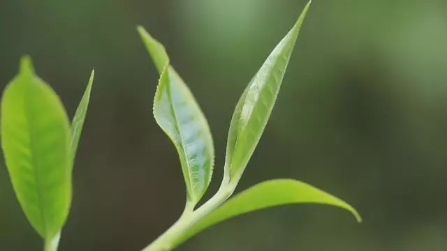 011F04032-9