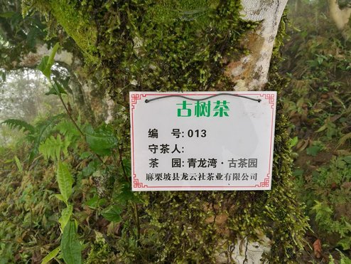 1020355491-10