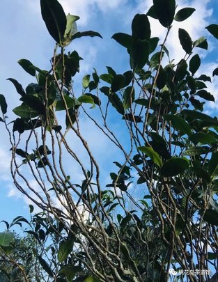 1030195K3-14