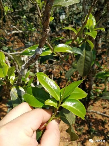 235QJ062-11