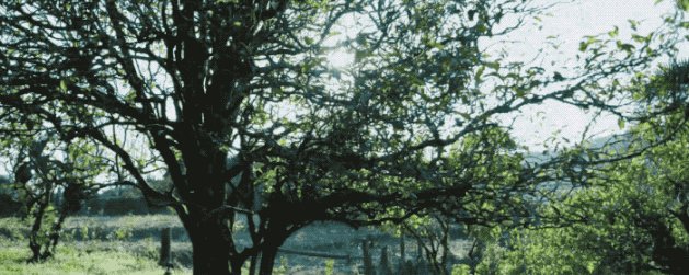 103F23445-5