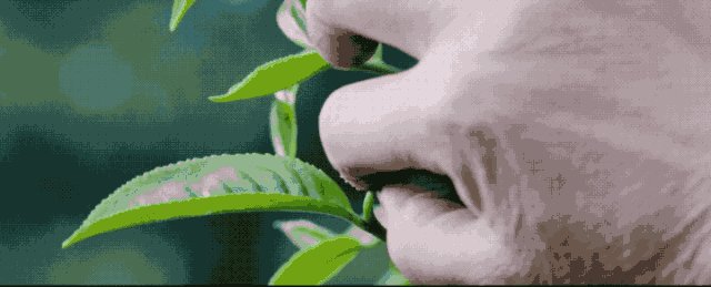 103F25W4-6
