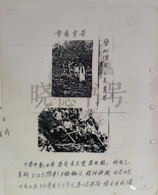 09163W2M-12