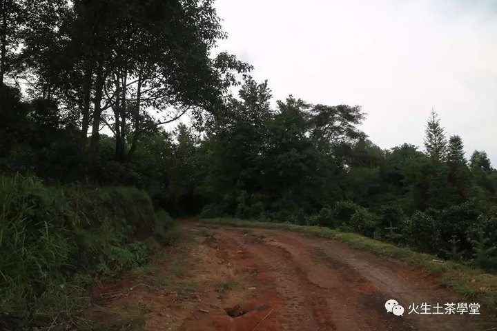 213P32423-20