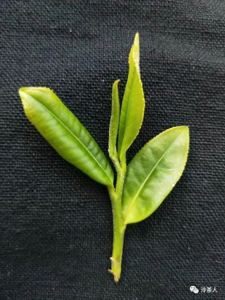 215G93915-3