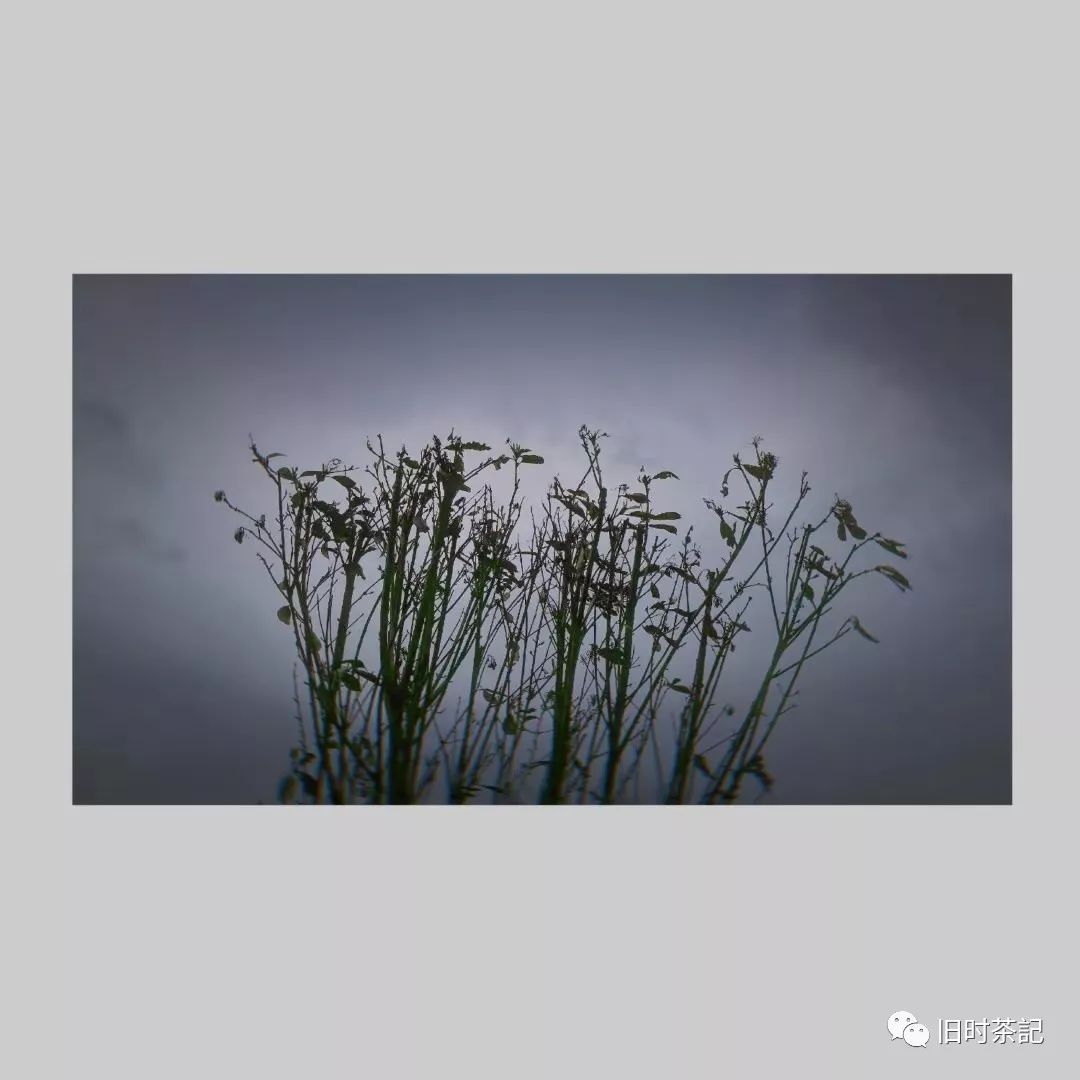 22250U246-2