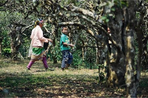 0Z12V952-2