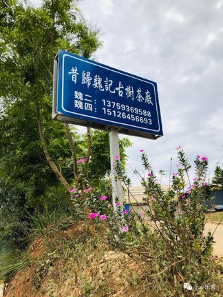0JIQ509-11