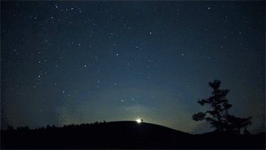 1005531320-0