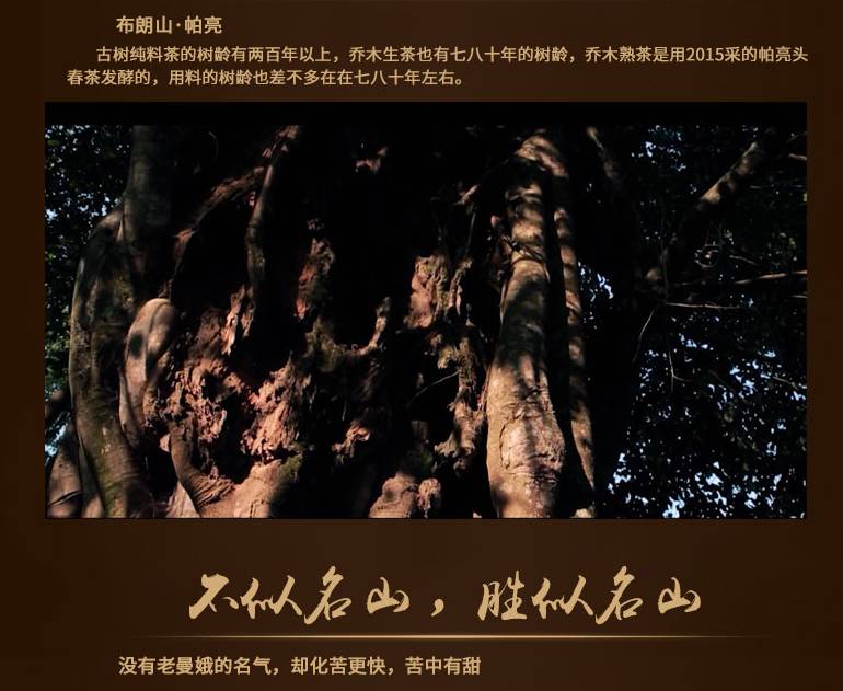1050594C0-12