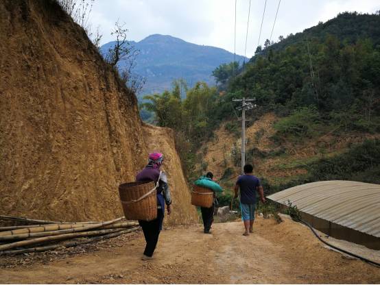 1IQW022-6