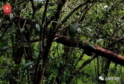 213G61959-3