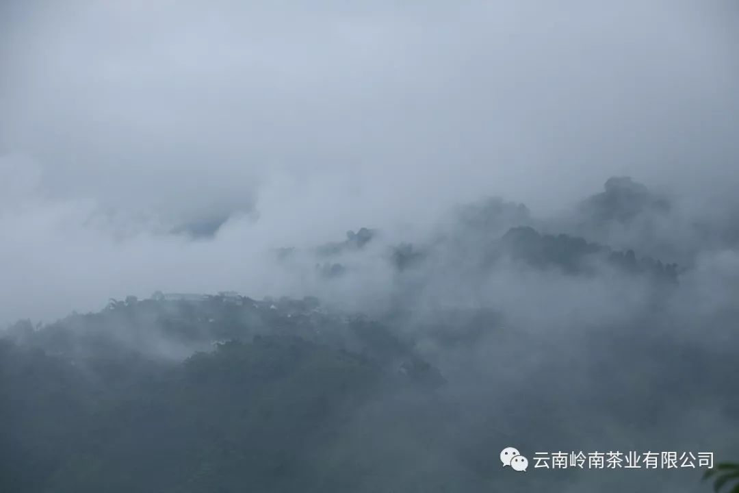 1355211239-2