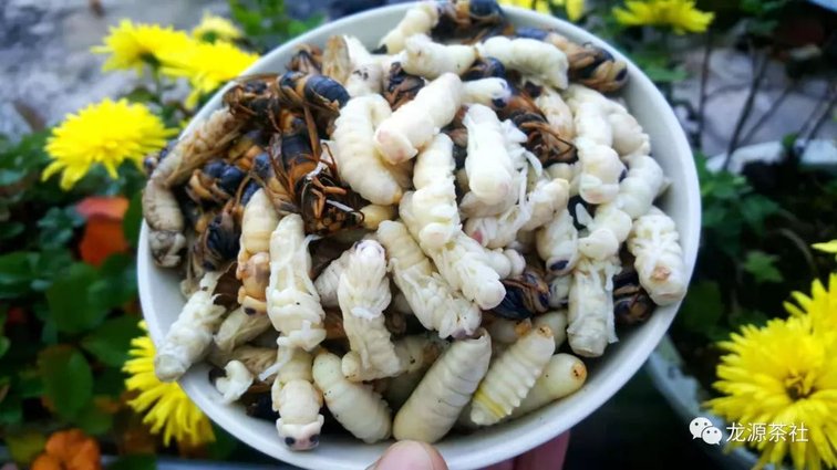 1039245614-8