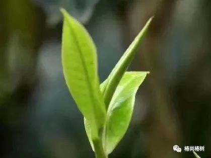 00641RsCgy1go05b3oc95j30u00u1dn4.jpg 00641RsCgy1go05b3oc95j30u00u1dn4.jpg