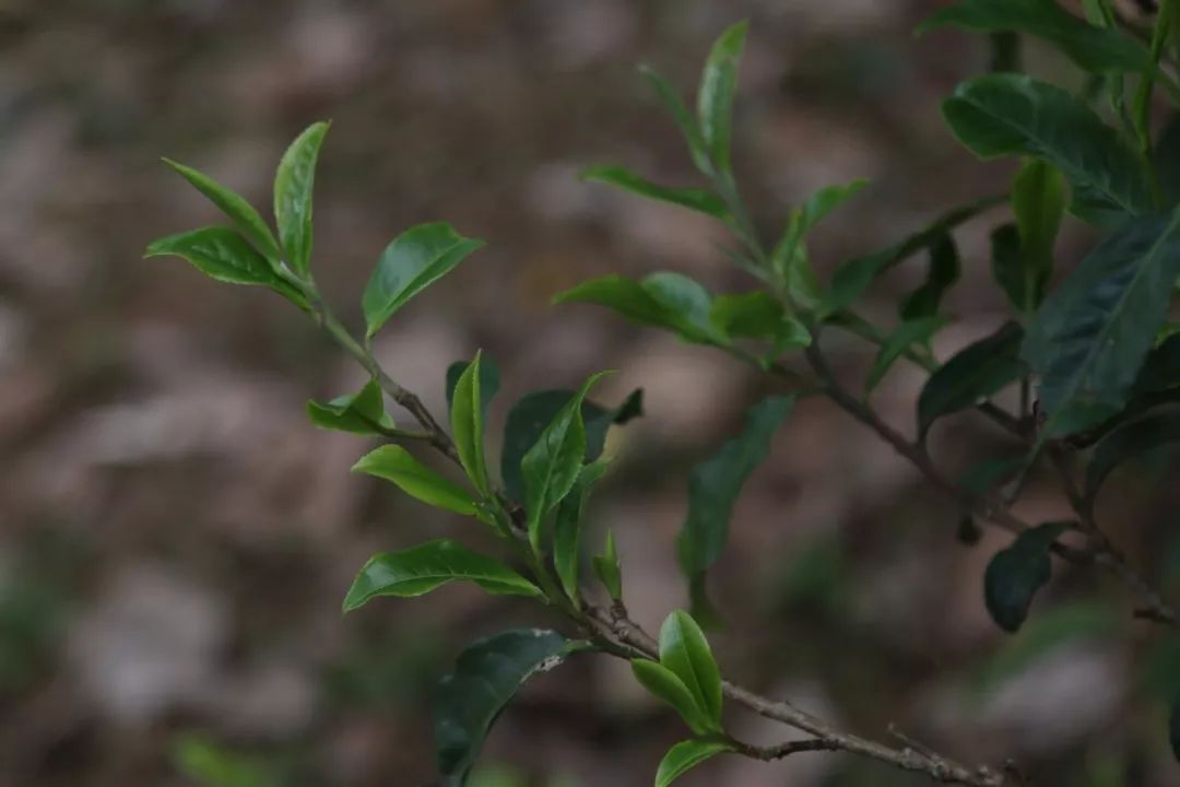 09364934F-2