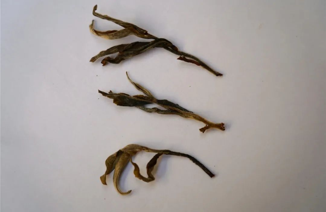 210P63142-3