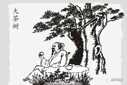 135H05M4-0