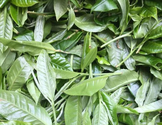 1033454V3-9