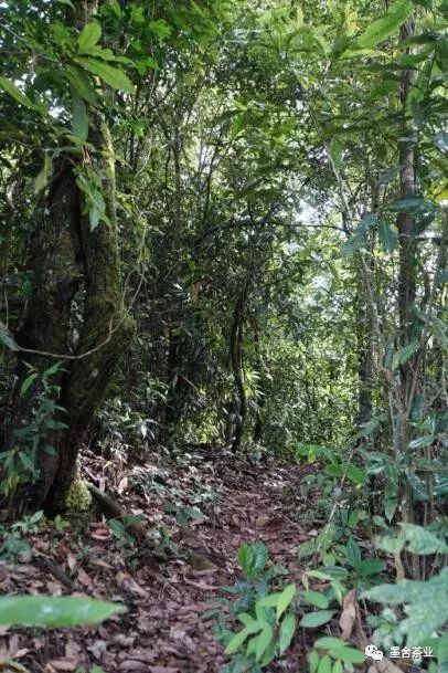 https://image.ipaiban.com/upload-ueditor-image-20190104-1546594952930056961.jpg https://image.ipaiban.com/upload-ueditor-image-20190104-1546594952930056961.jpg