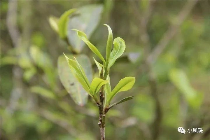 00022A163-13