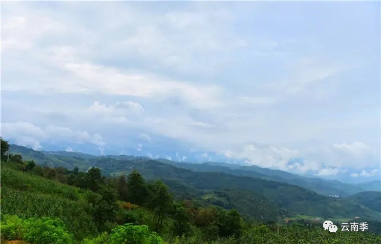 120P055F-2