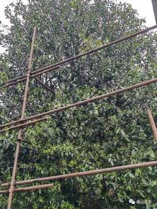 1040321122-10
