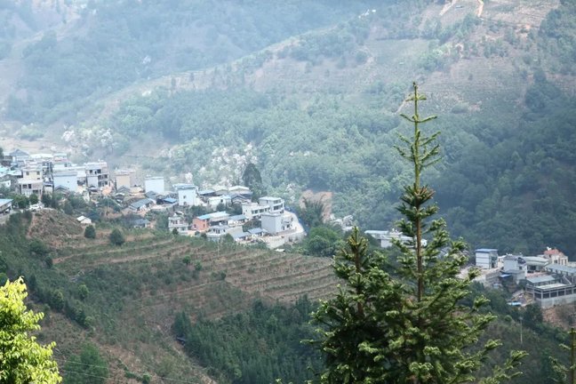 7Y5A5203.JPG 图片