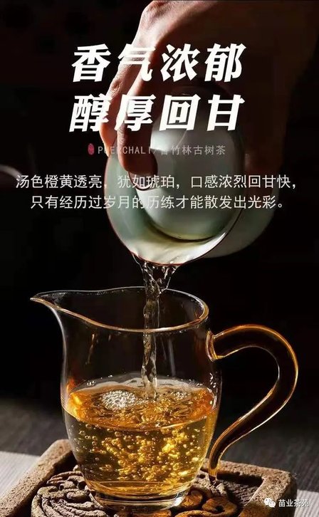 1240534R0-0