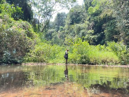 ͼƬ