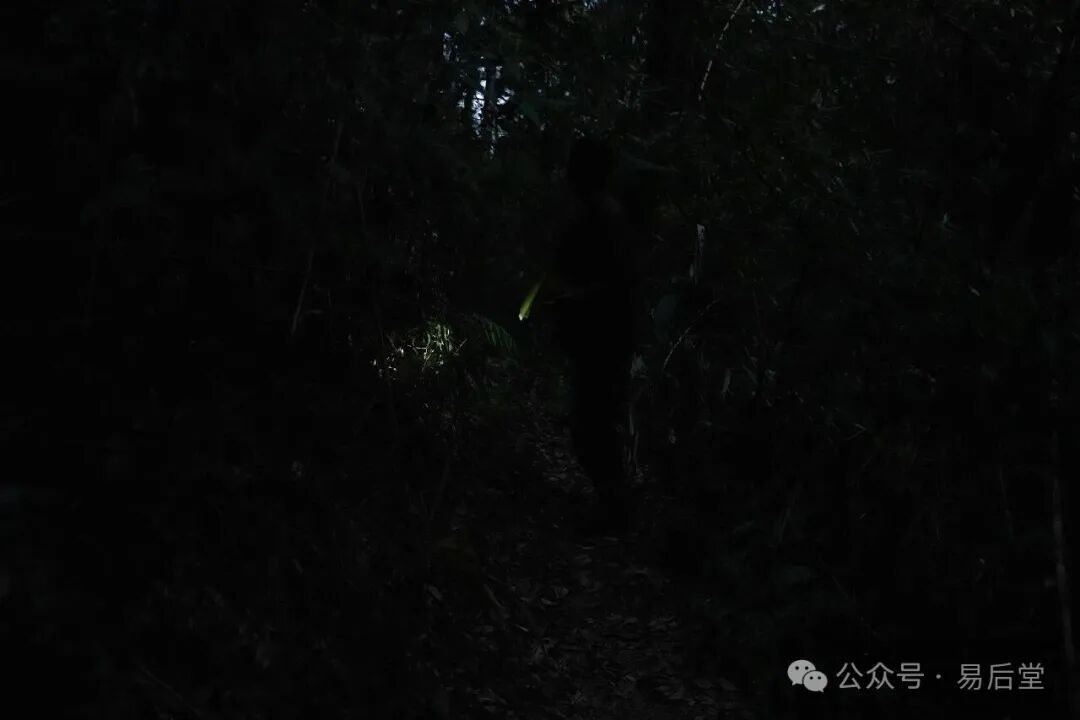 ͼƬ