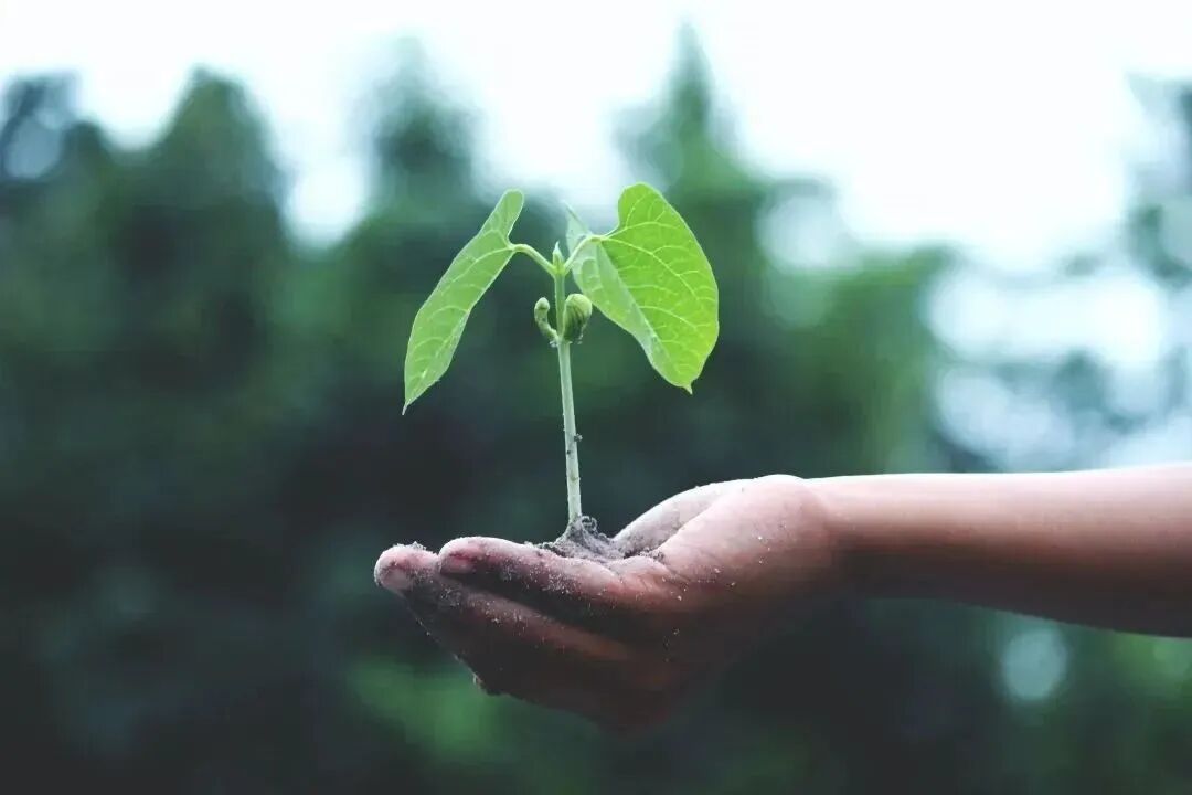 ͼƬ