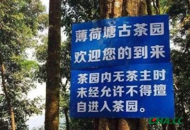 �������䱡�����ĳ���֮·�����ı������۸�һ·<font color=
