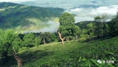 ����<font color=