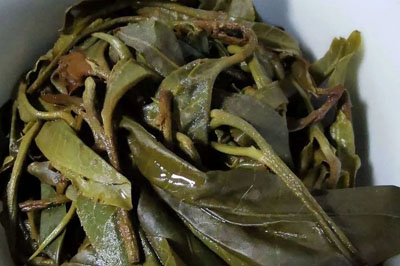 ����<font color=