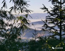 ��Ϊ���ҹ���������ǿ���<font color=
