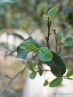 è����ح�а���е�С����