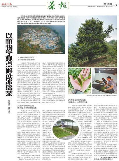 济南时报茶报2016.07